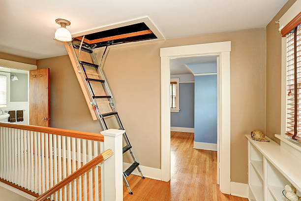Find out how you can choose the best loft ladders from home
