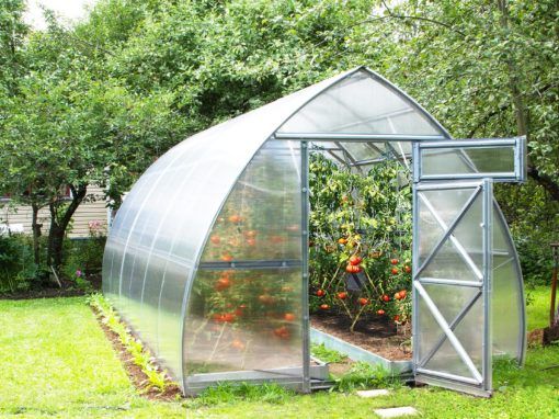 Garden greenhouse – Receive the very best that works