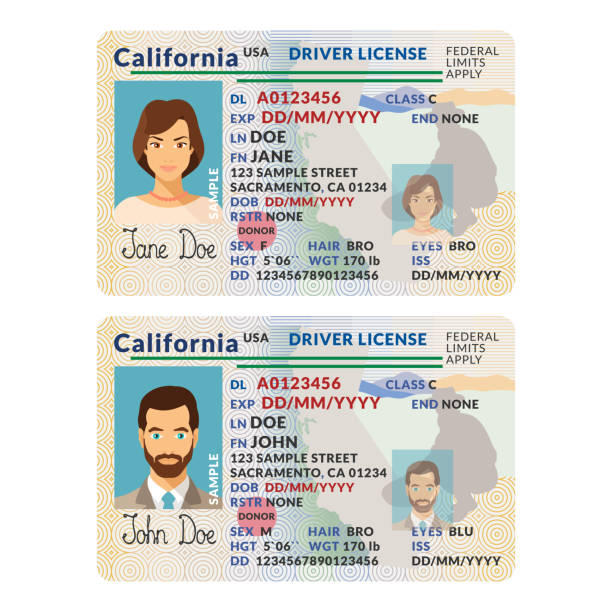 Unlocking the Secret of Scannable Fake IDs