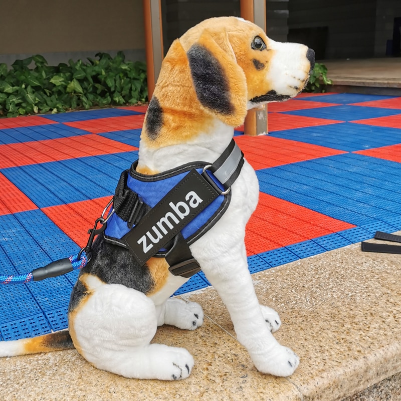 The Greatest Help guide No Draw Pet Harnesses: The way to get the Most Out of Your Harness for Pet dogs