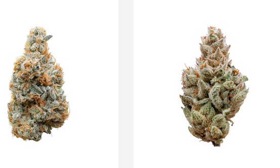 How THCA Flower Will Help You Attain Your Wellbeing & Wellbeing Targets