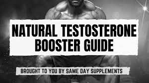 Testosterone Boosters for Improved Liver Health