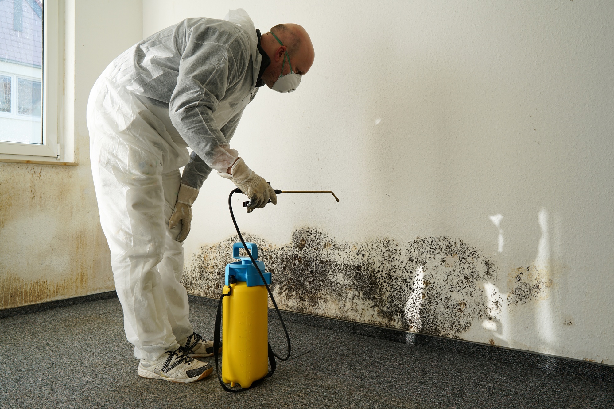 Water damage restoration – Know The Primary Methods Now!