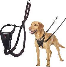 No-Pull Dog Harnesses for Hiking Adventures