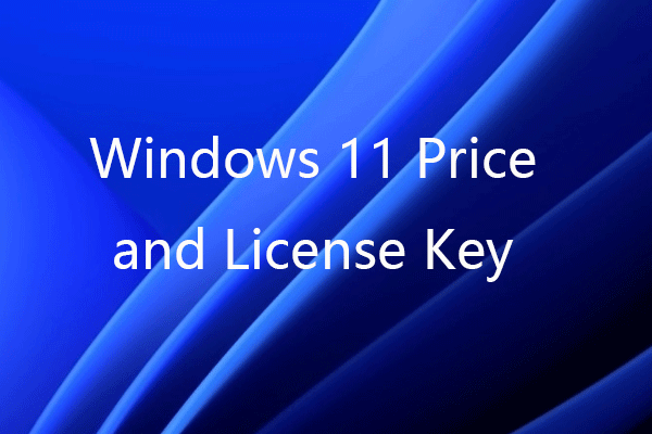 Windows 11 Pro Key Sale: Limited-Time Offers on Pro Activation