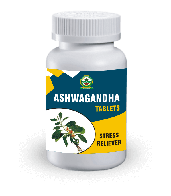 Exploring Ashwagandha Supplements: Your Path to Wellness