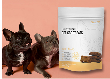 Full-Spectrum CBD Dog Treats vs. Isolate Treats: A Comparison