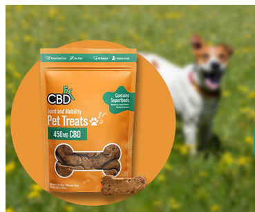 CBD Treats for Dogs: Choosing the Right Option