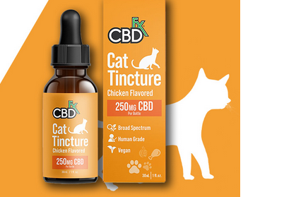 Exploring the World of CBD Cat Treats: What You Need to Know
