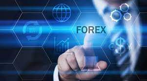 Forex Brokerage Unveiled: Essential Insights for Traders